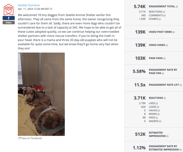 Nonprofit social media post by Seattle Humane introducing rescued dogs, with 5.74K total engagements and 139K video views.